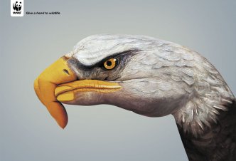 WWF Eagle - 2006/10